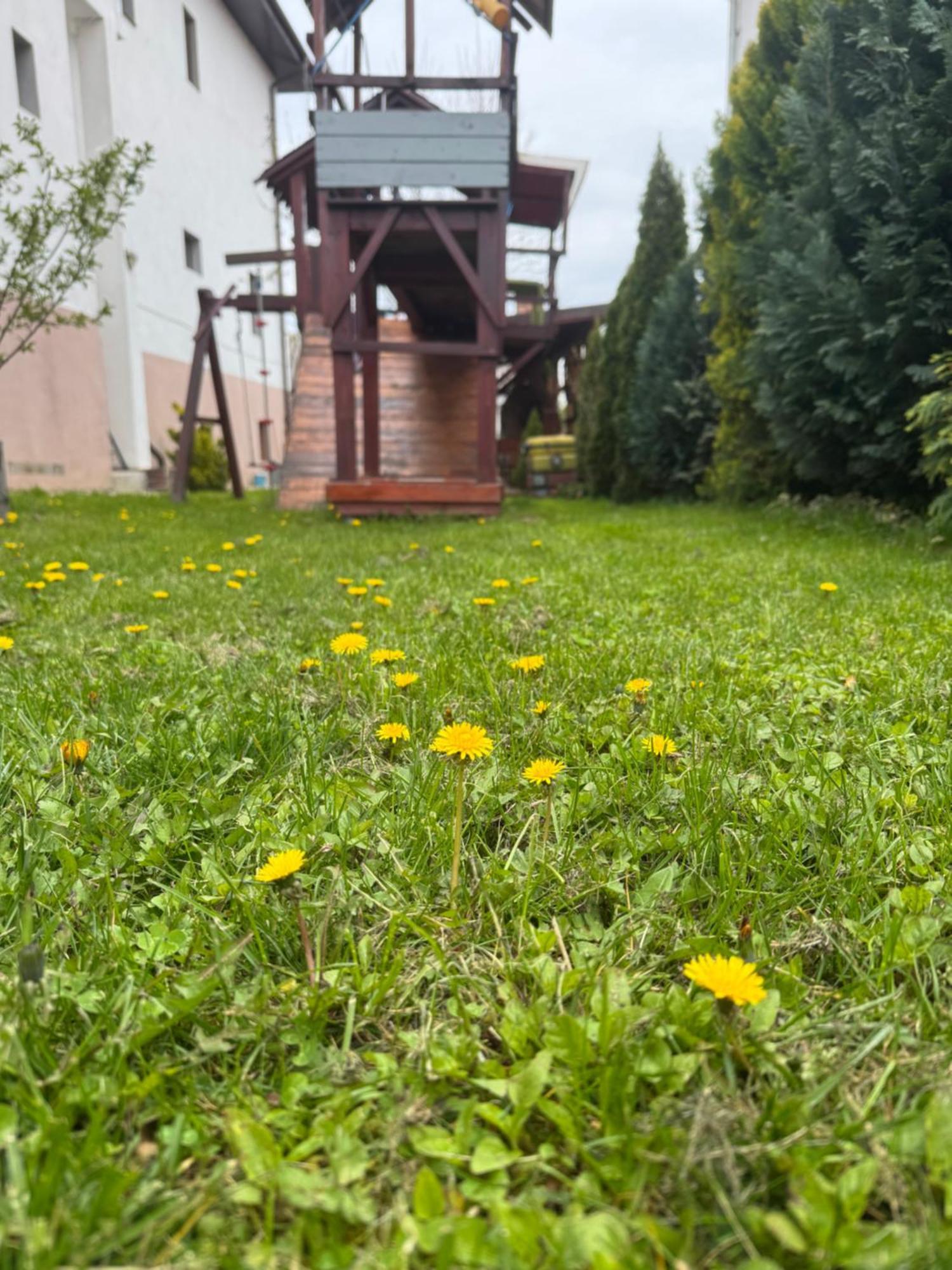 Pensiunea Casa Rica Calimanesti Exterior photo